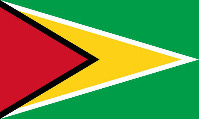 guiana flag